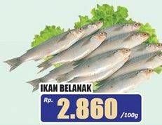 Promo Harga Ikan Belanak per 100 gr - Hari Hari