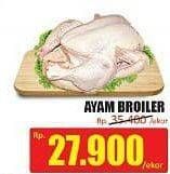 Promo Harga Ayam Broiler  - Hari Hari