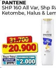 Promo Harga Pantene Shampoo All Variants 160 ml - Alfamart