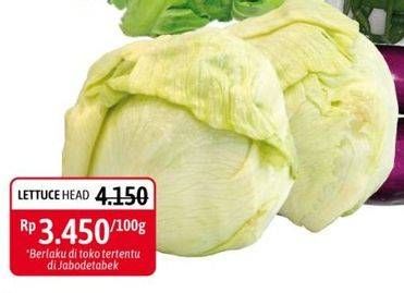 Promo Harga Lettuce Sayur Head per 100 gr - Alfamidi