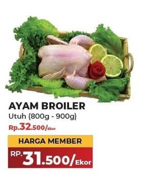 Promo Harga Ayam Broiler 800 gr - Yogya