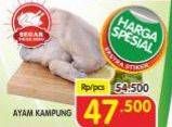 Promo Harga Ayam Kampung 600 gr - Superindo