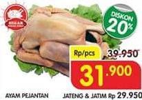 Promo Harga Ayam Pejantan  - Superindo