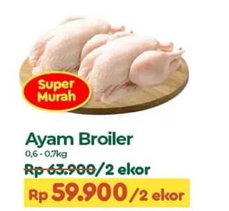 Promo Harga Ayam Broiler 600 gr - TIP TOP