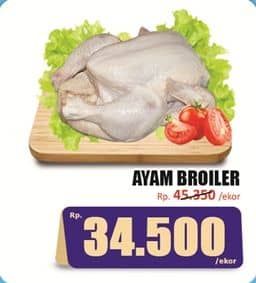 Promo Harga Ayam Broiler 500 gr - Hari Hari