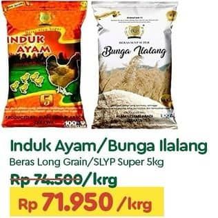Promo Harga Bunga Ilalang/Induk Ayam Beras  - TIP TOP