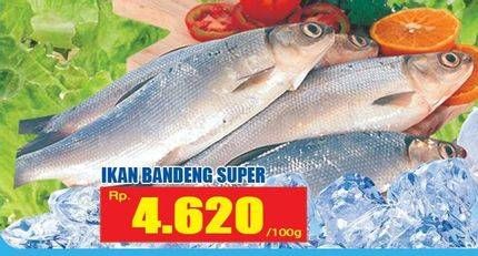 Promo Harga Ikan Bandeng Super per 100 gr - Hari Hari