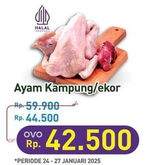 Ayam Kampung