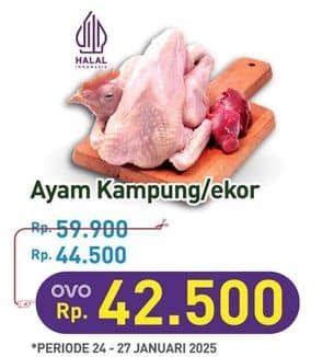 Promo Harga Ayam Kampung 500 gr - Hypermart