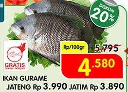 Promo Harga Ikan Gurame per 100 gr - Superindo