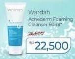 Promo Harga WARDAH Acnederm Pure Foaming Cleanser 60 ml - Alfamart