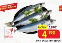 Promo Harga Ikan Salem  - Superindo