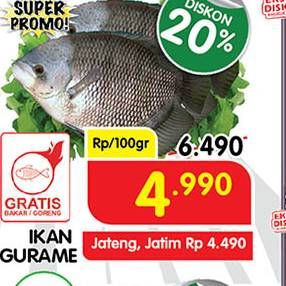 Promo Harga Ikan Gurame per 100 gr - Superindo