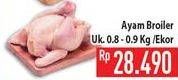 Promo Harga Ayam Broiler  - Hypermart