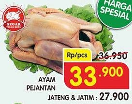 Promo Harga Ayam Pejantan  - Superindo