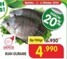 Promo Harga Ikan Gurame per 100 gr - Superindo