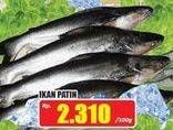 Promo Harga Ikan Patin per 100 gr - Hari Hari