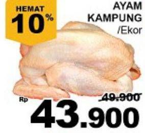 Promo Harga Ayam Kampung  - Giant