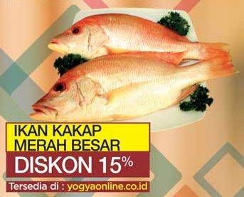 Promo Harga Ikan Kakap Merah Besar per 100 gr - Yogya