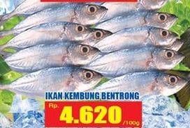 Promo Harga Ikan Kembung Bentrong per 100 gr - Hari Hari