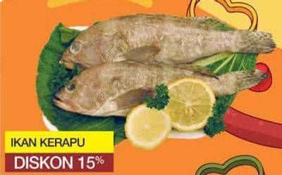 Promo Harga Ikan Kerapu per 100 gr - Yogya