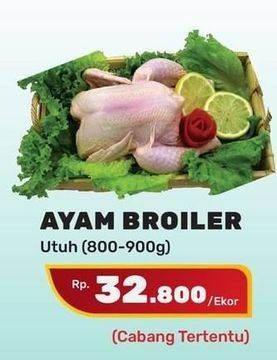 Promo Harga Ayam Broiler  - Yogya