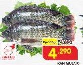 Promo Harga Ikan Mujair per 100 gr - Superindo