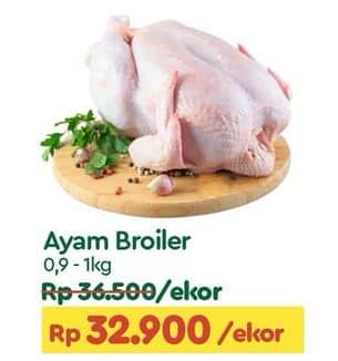 Promo Harga Ayam Broiler  - TIP TOP