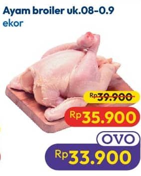 Promo Harga Ayam Broiler 800 gr - Hypermart