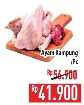 Promo Harga Ayam Kampung 1000 gr - Hypermart