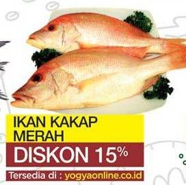 Promo Harga Ikan Kakap Merah Besar per 100 gr - Yogya