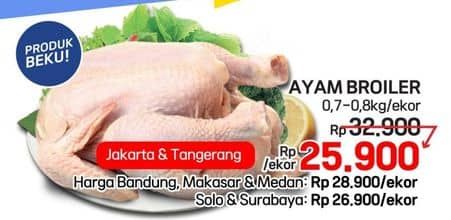 Ayam Broiler