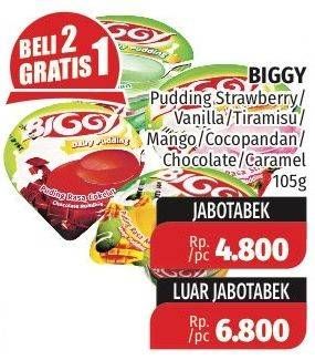 Promo Harga BIGGY Dairy Pudding Strawberry, Vanilla, Tiramisu, Mango, Cocopandan, Chocolate, Caramel 105 gr - Lotte Grosir