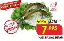 Promo Harga Ikan Bawal Hitam per 100 gr - Superindo