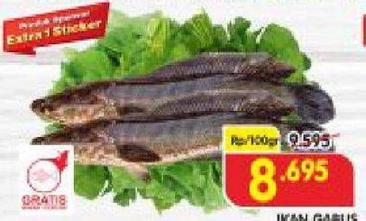 Promo Harga Ikan Gabus per 100 gr - Superindo