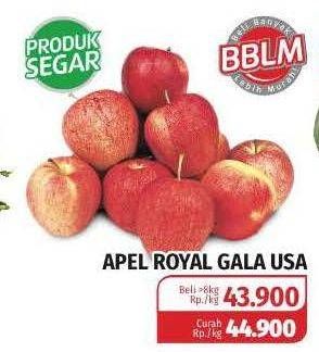 Promo Harga Apel Royal Gala USA  - Lotte Grosir