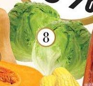 Promo Harga Lettuce Sayur Head per 100 gr - Yogya