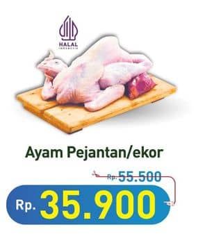 Promo Harga Ayam Pejantan 500 gr - Hypermart