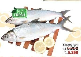 Promo Harga Ikan Bandeng Jumbo per 100 gr - LotteMart