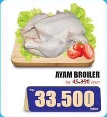 Promo Harga Ayam Broiler 500 gr - Hari Hari