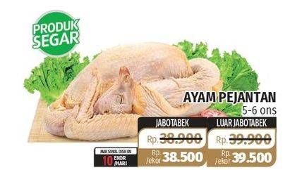 Promo Harga Ayam Pejantan 5-6 Ons  - Lotte Grosir