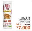 Promo Harga SLIM & FIT Cookies Raisin Cinamon per 2 pcs 22 gr - Alfamidi