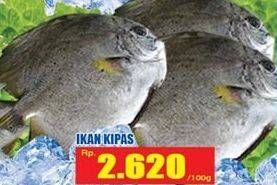 Promo Harga Ikan Kipas per 100 gr - Hari Hari