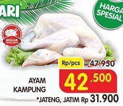 Promo Harga Ayam Kampung  - Superindo