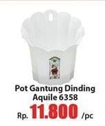Promo Harga GREEN LEAF Pot Gantung Dinding Aquile  - Hari Hari