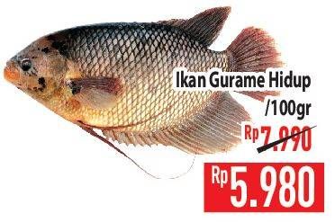 Promo Harga Ikan Gurame Hidup per 100 gr - Hypermart