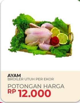 Promo Harga Ayam Broiler 500 gr - Yogya