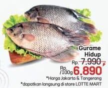 Promo Harga Ikan Gurame Hidup per 100 gr - LotteMart