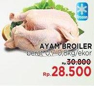 Promo Harga Ayam Broiler 800 gr - LotteMart
