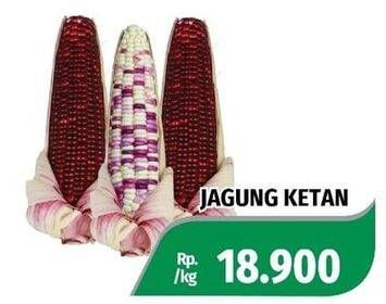 Promo Harga Jagung Ketan  - Lotte Grosir